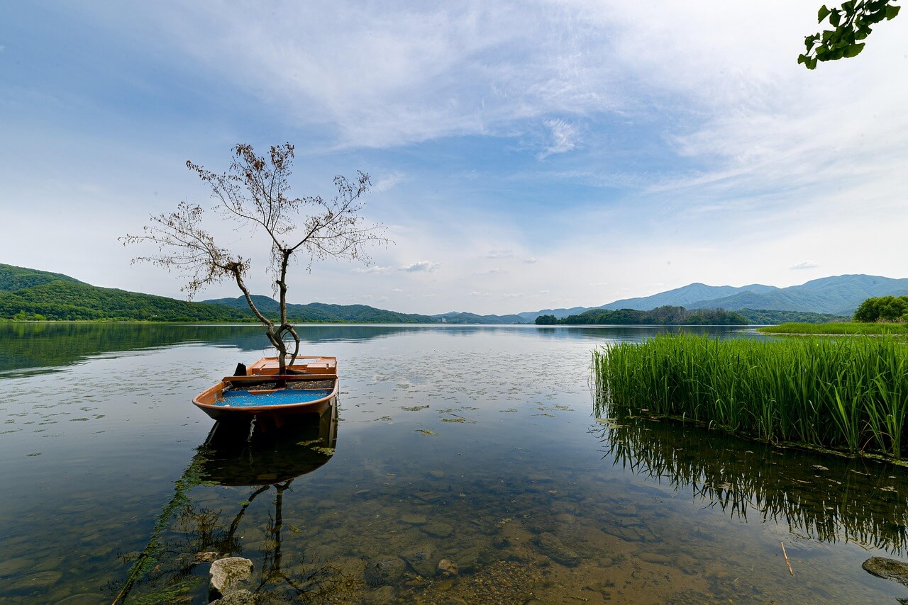 드라이브 코스 추천
